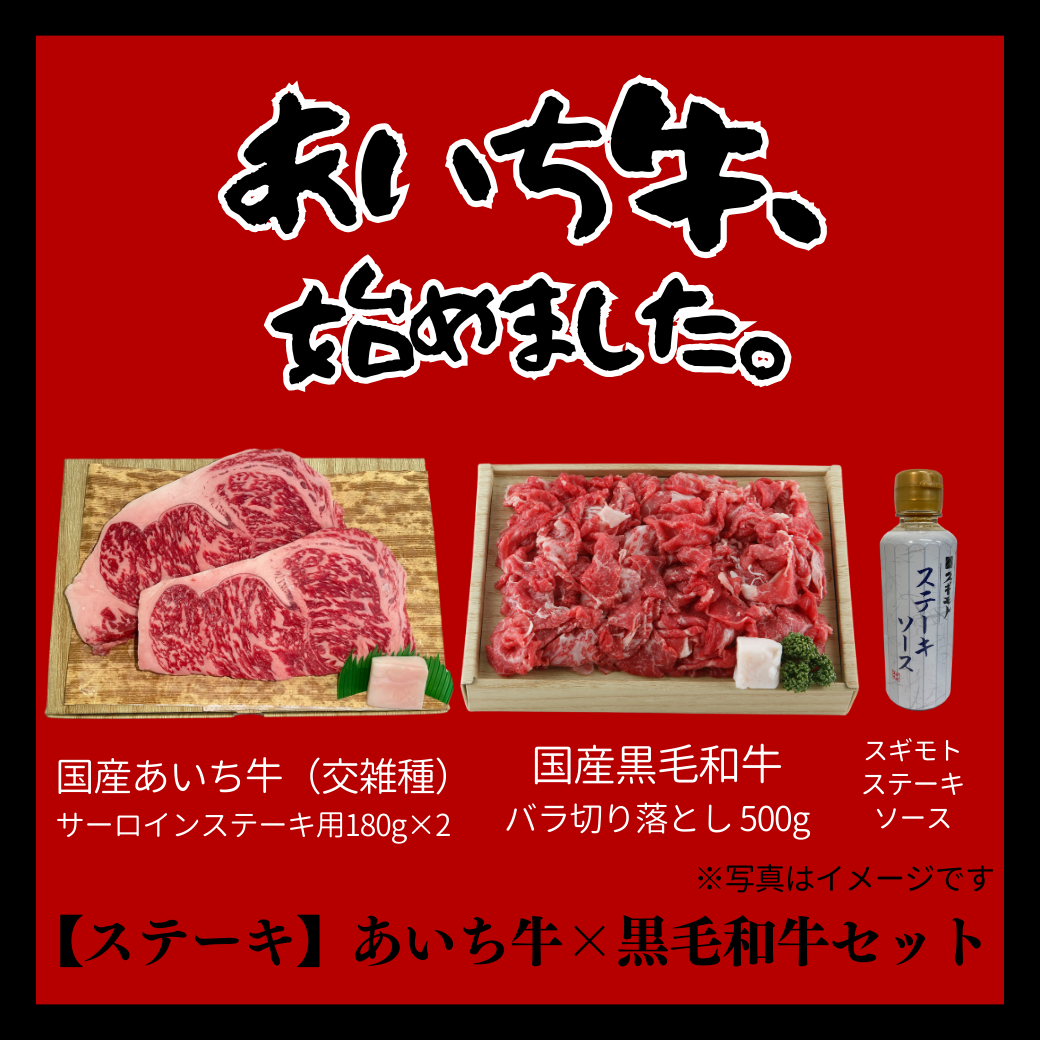 [LINED00384]【ステーキ】あいち牛×黒毛和牛セット[4-5人前] 〇冷蔵